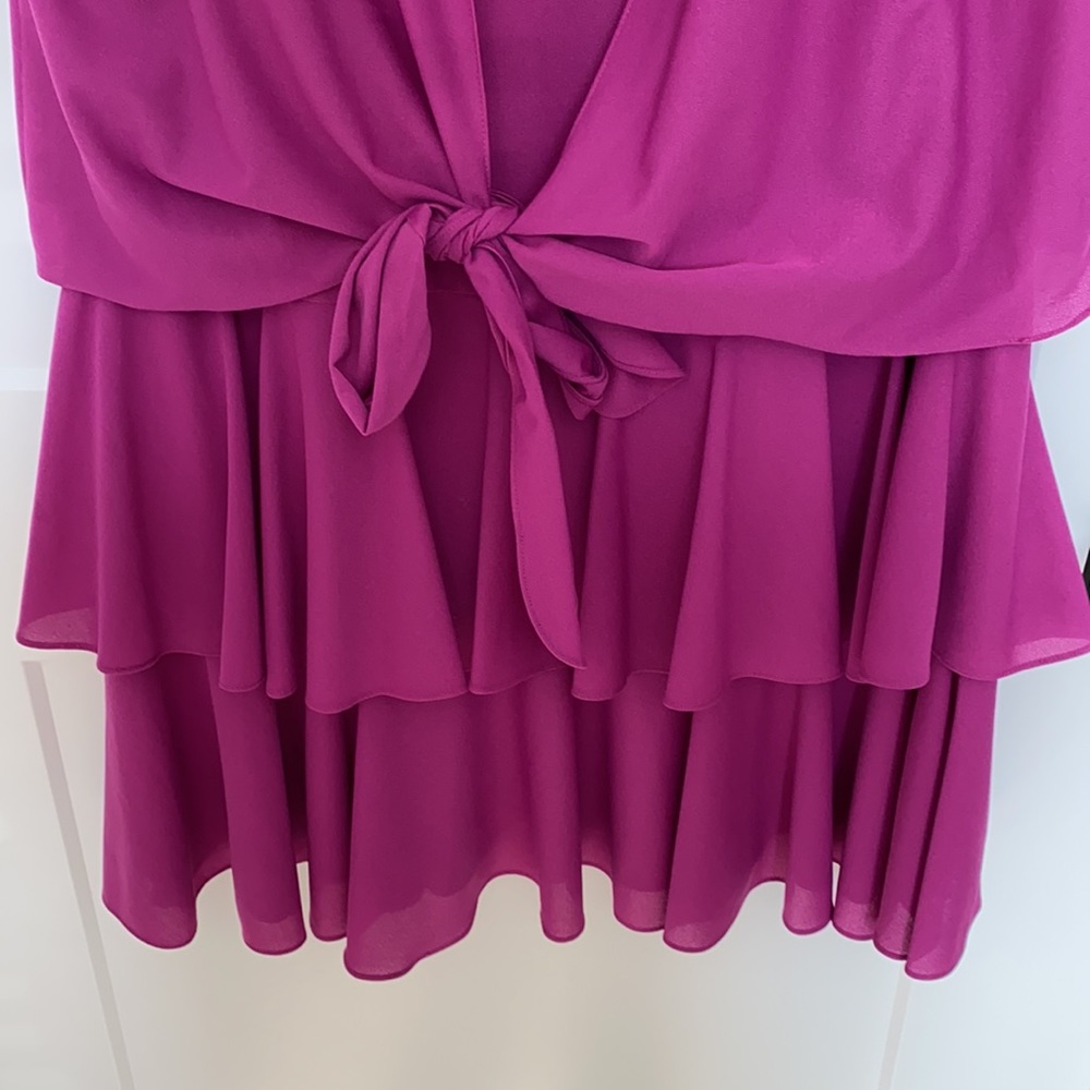 Vintage T Fe Magenta Drop Waist Dress - Picture 12 of 14